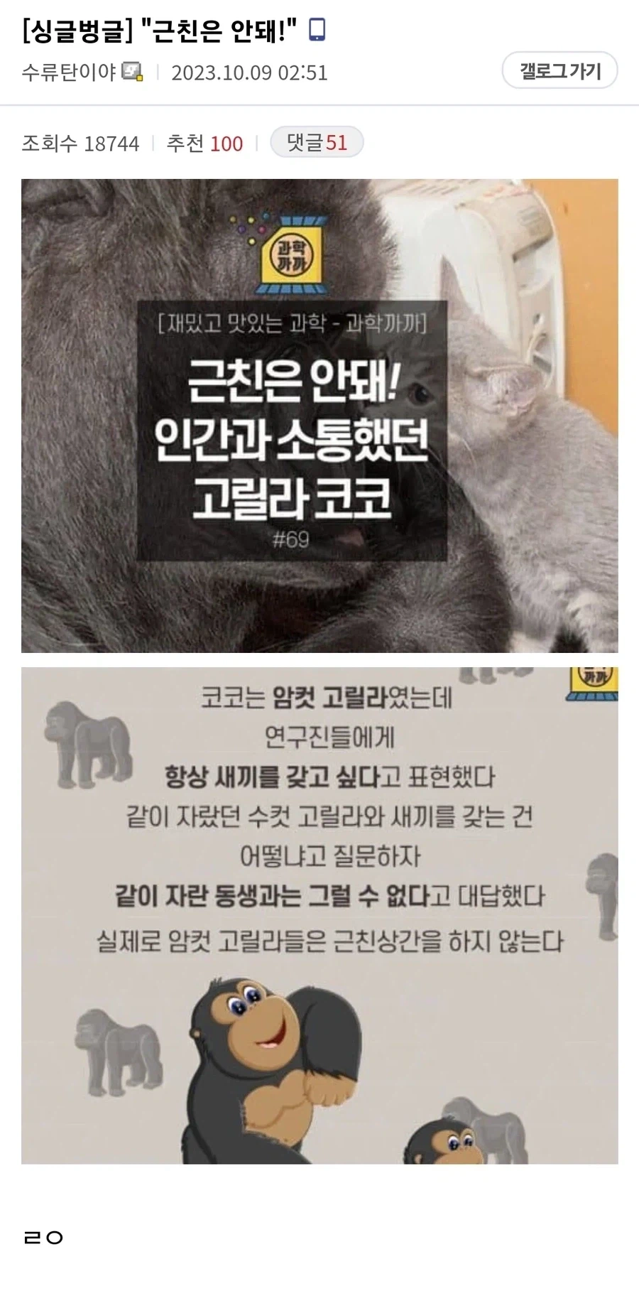 1.webp